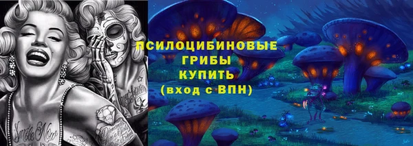 прущие крисы Арсеньев